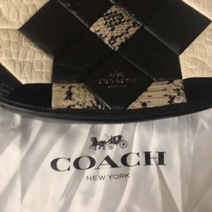 Coach purse
